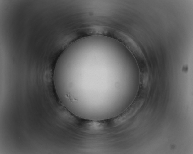 X0000103260326200809051450