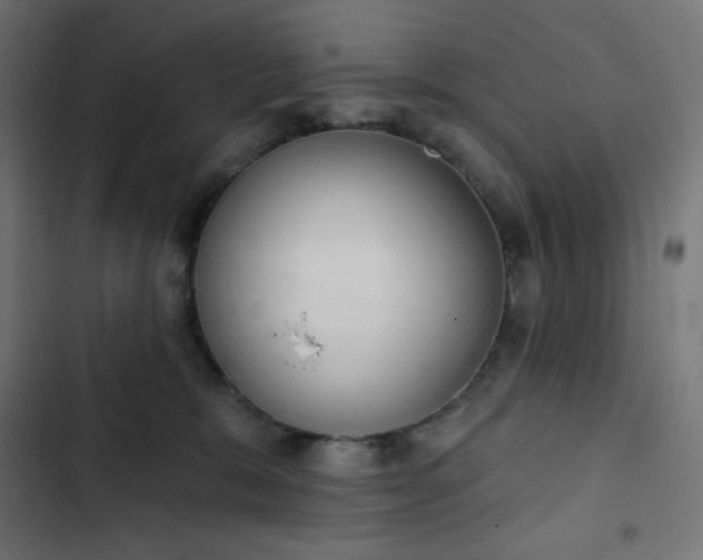 X0000103260327200809051449