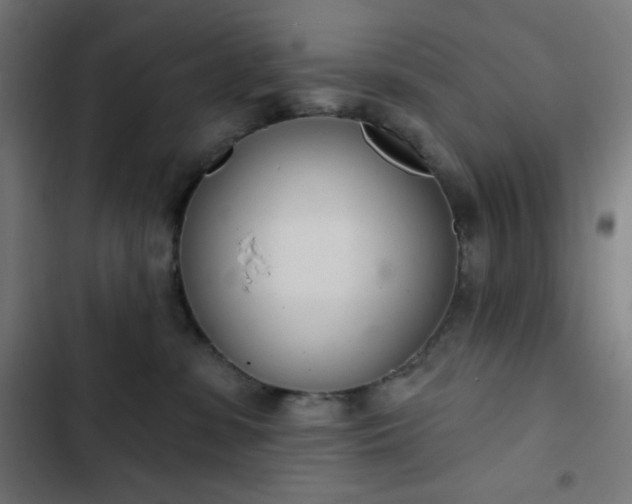 X0000103260331200809051449