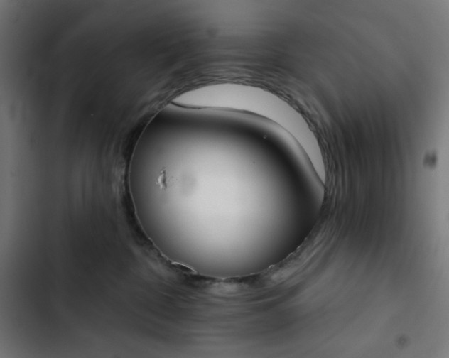 X0000103260332200809051449