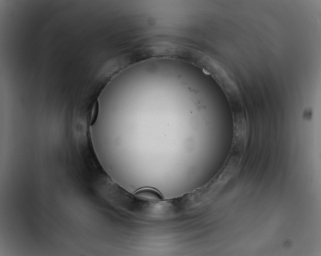 X0000103260333200809051449