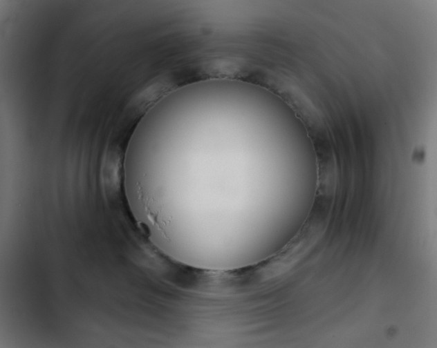 X0000103260334200809051449