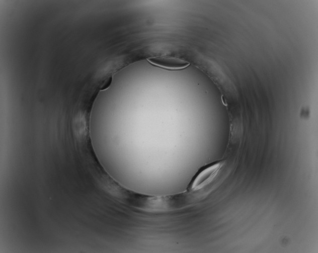 X0000103260335200809051449