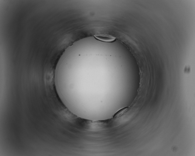 X0000103260336200809051449