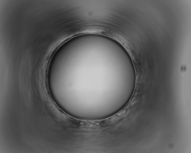 X0000103260337200809051449