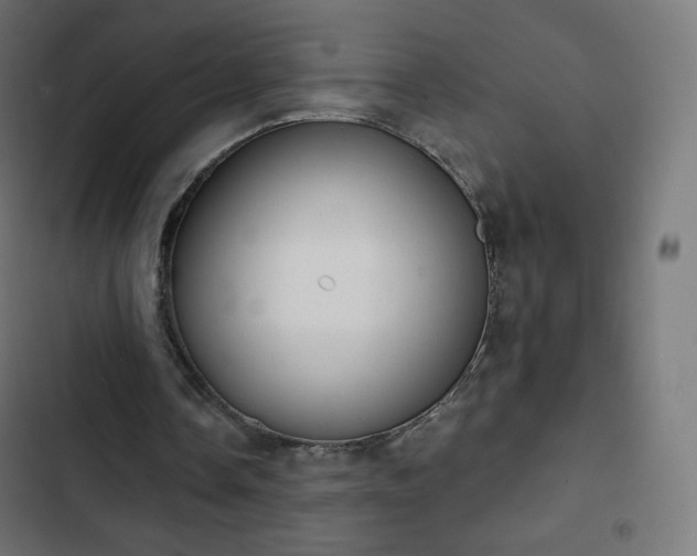 X0000103260338200809051449