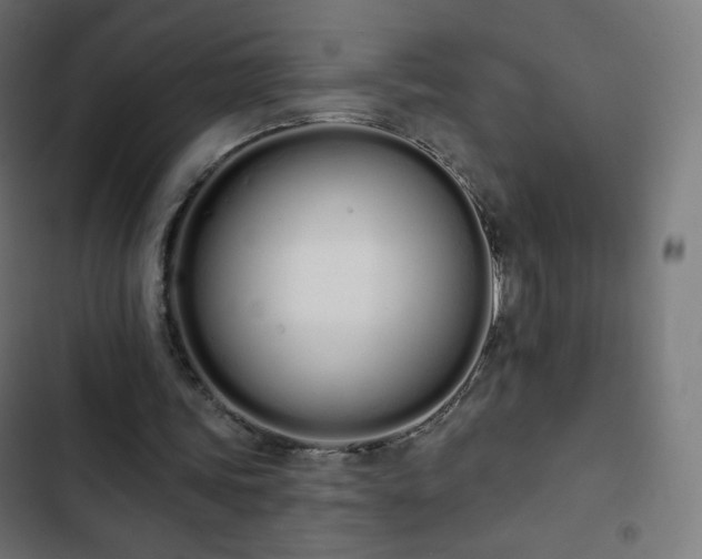 X0000103260339200809051449