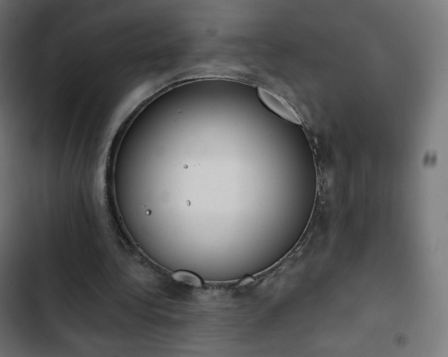 X0000103260340200809051449