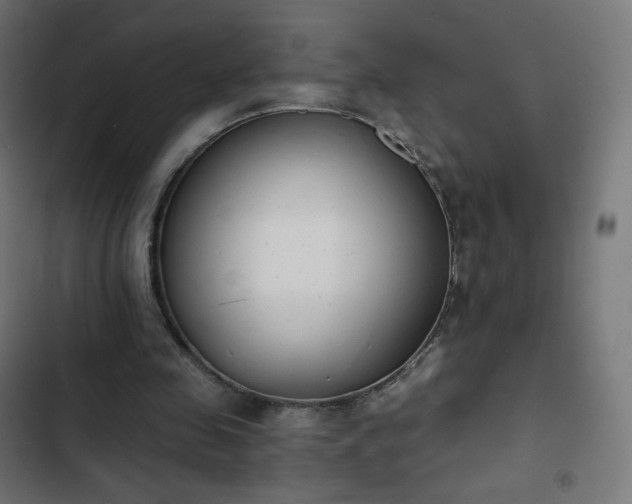 X0000103260341200809051449