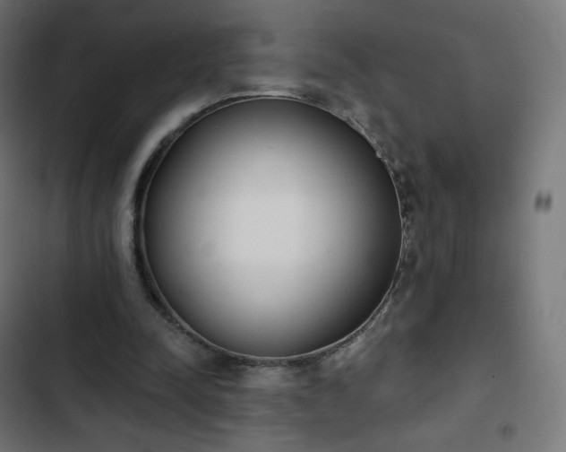 X0000103260342200809051449