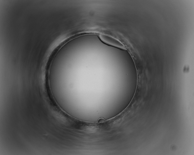 X0000103260344200809051449