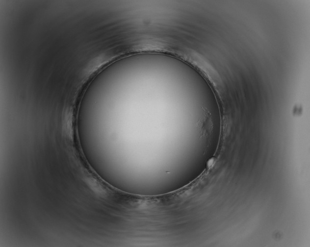 X0000103260345200809051449