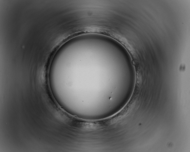 X0000103260347200809051449