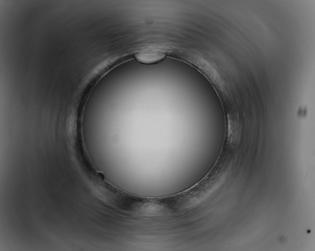 X0000103260348200809051449