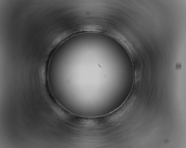 X0000103260349200809051449