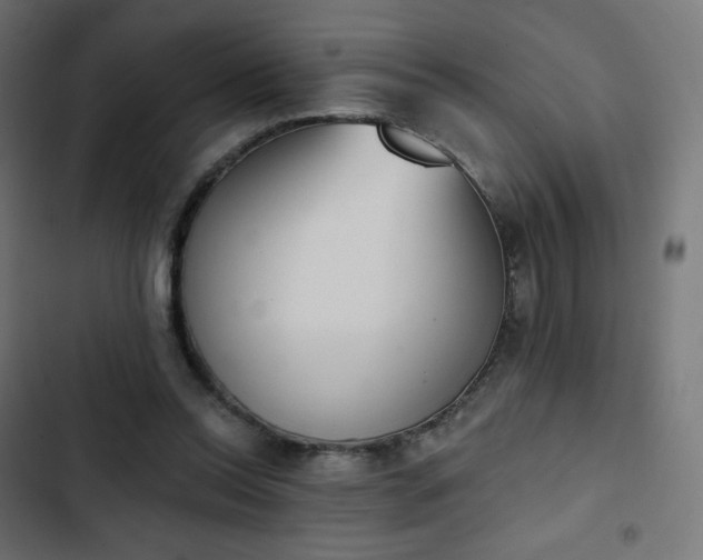 X0000103260350200809051449