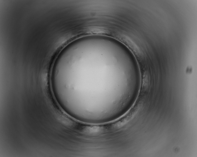 X0000103260351200809051449