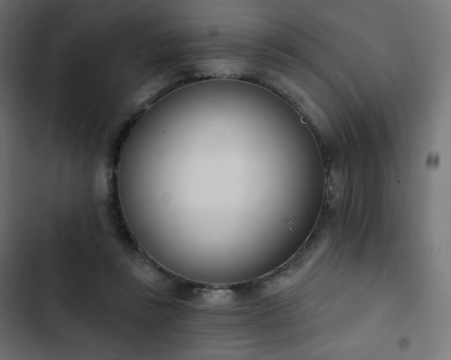 X0000103260355200809051449