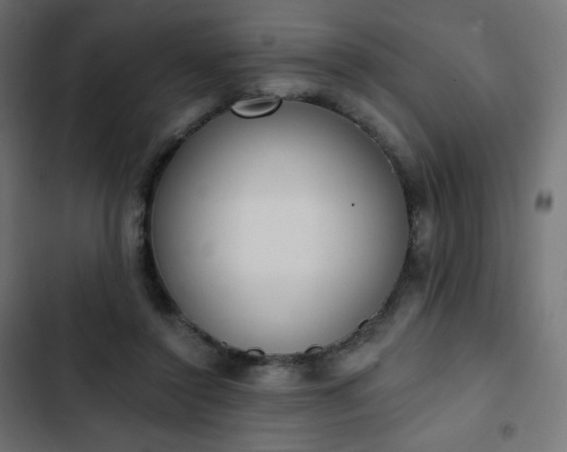 X0000103260356200809051449