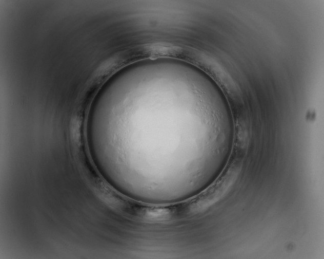 X0000103260357200809051449