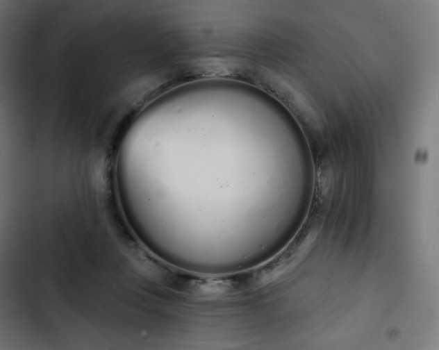 X0000103260359200809051449