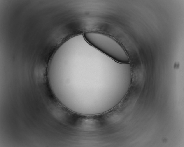 X0000103260360200809051449