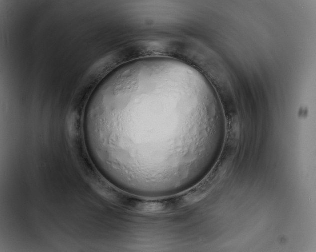 X0000103260361200809051449