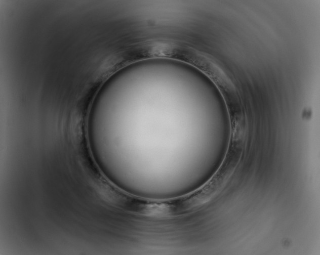 X0000103260363200809051449