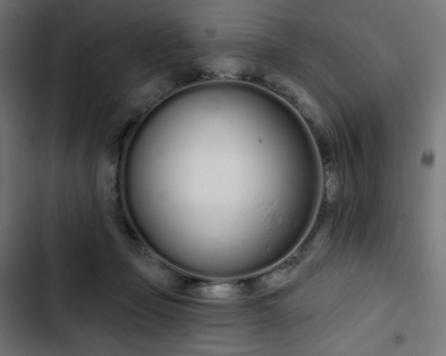 X0000103260365200809051449