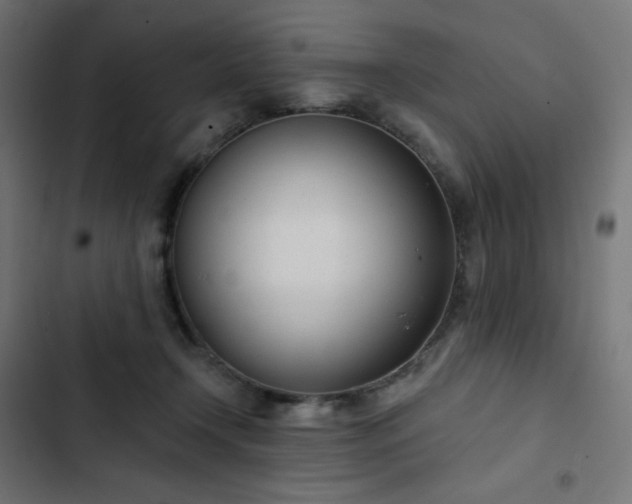 X0000103260366200809051449