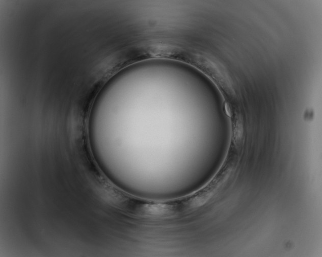 X0000103260367200809051449