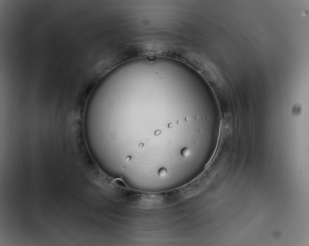 X0000103260369200809051449