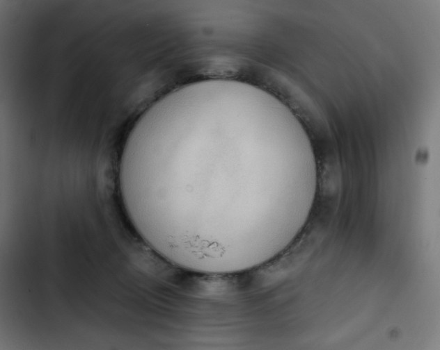 X0000103260370200809051449