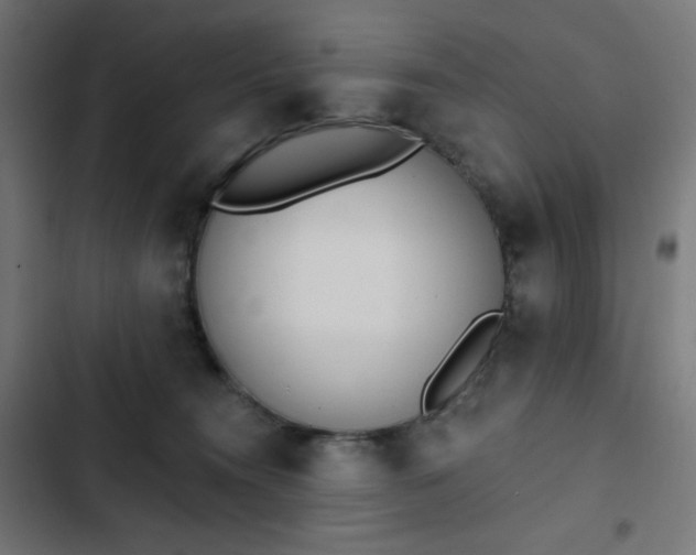 X0000103260372200809051449