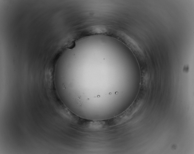 X0000103260373200809051449