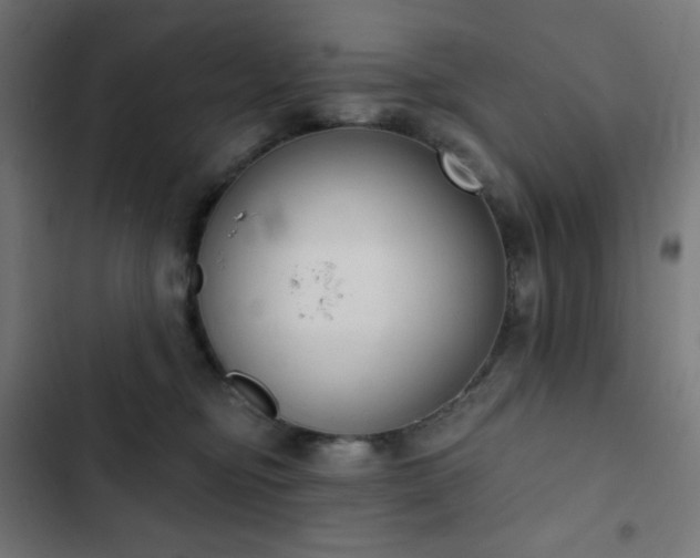 X0000103260374200809051449