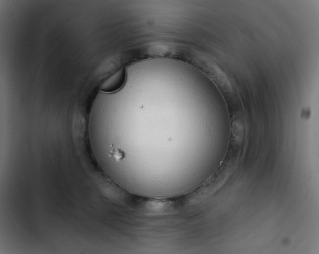 X0000103260375200809051449