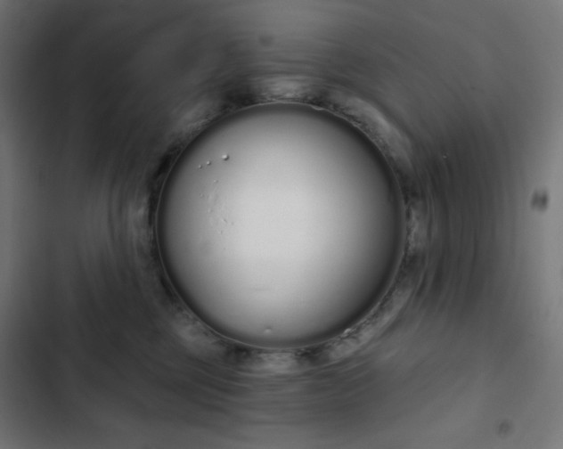 X0000103260377200809051449