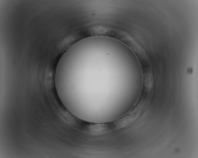 X0000103260378200809051449