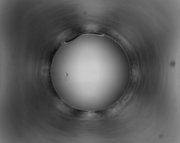 X0000103260379200809051449