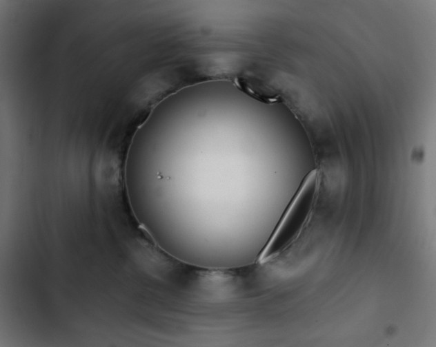 X0000103260380200809051449