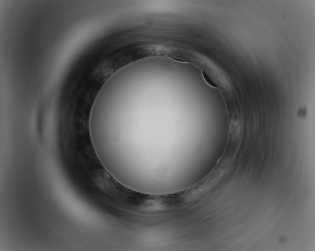 X0000103260381200809051449