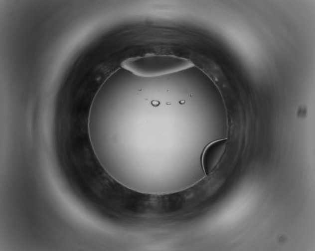 X0000103260383200809051449