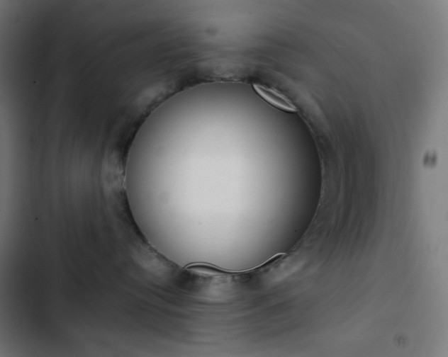 X0000103260384200809051449