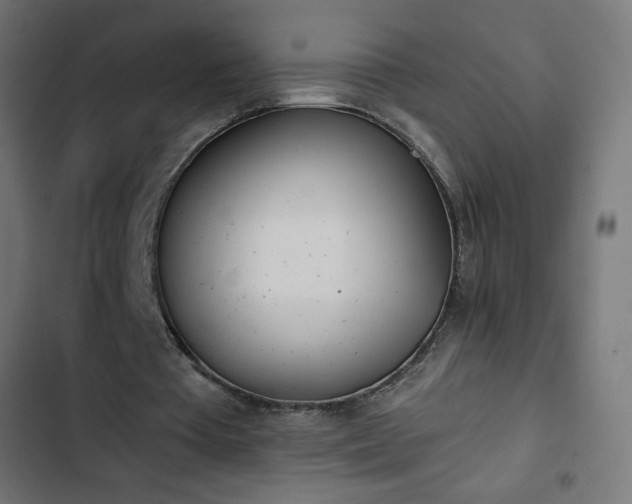 X0000103260385200809051449