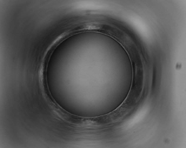 X0000103260387200809051449