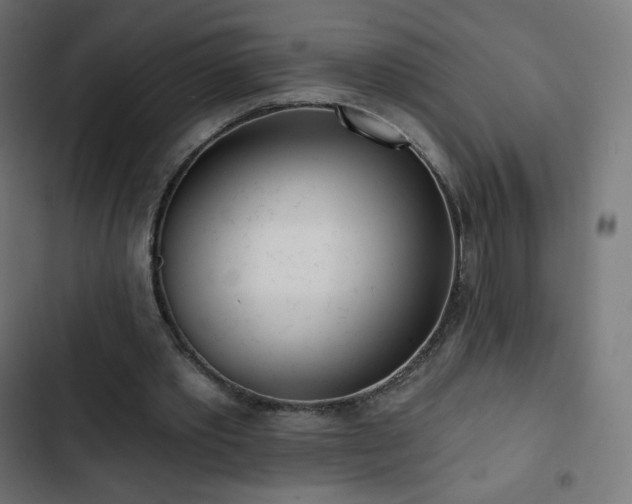 X0000103260389200809051449