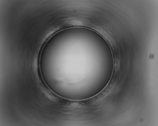 X0000103260390200809051449