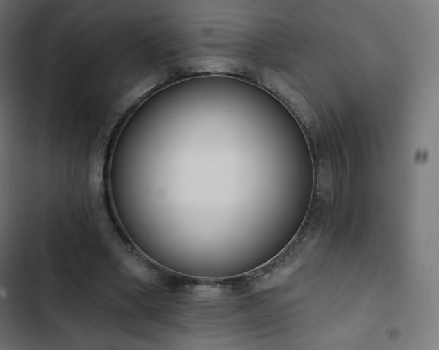 X0000103260394200809051449