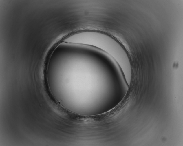 X0000103260395200809051448